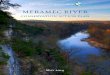 Meramec River Conservation Action Plan - Nature … · River Drainage, Big River Drainage, ... Meramec River Conservation Action Plan | 3 ... mec River and its tributaries 