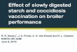 Effect of slowly digested starch and coccidiosis ... · Effect of slowly digested starch and coccidiosis vaccination on broiler performance ... (1979) Eimeria maxima Reid and 