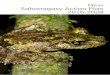 New Sahonagasy Action Plan 2016-2020 - Amphibian … Sahonagasy Action Plan 2016 – 2020 Nouveau plan d’Action Sahonagasy 2016 – 2020 Edited by: Franco Andreone, IUCN SSC Amphibian