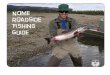 Nome Roadside Fishing Guide - Home Page, Alaska Department of Fish and Game ·  · 2013-11-01Nome Roadside Fishing Guide. ... (907) 443-3444, can provide a summary of current road