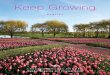 Keep Growing - Chicago Botanic Garden · parable visual richness, ... conservationists, and other green-industry ... series answers gardening questions and introduces