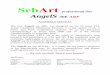 SebArt professional line · SebArt professional line. AngelS . 30E ARF. ASSEMBLY MANUAL . The new AngelS 30E ARF, was designed by the 10 times F3A Italian Champion Sebastiano Silvestri,