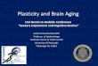 Plasticity and Brain Aging - American Geriatrics … and Brain Aging Caterina Rosano,MD, MPH Professor of Epidemiology Graduate School of Public Health University of Pittsburgh, Pittsburgh