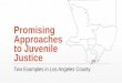 Promising Approaches to Juvenile Justice - California State …csun.edu/sites/default/files/Denise Herz, Dave Mitchell... ·  · 2015-05-20Study Implications for Juvenile Justice