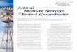 Animal Manure Storage - Texas A&M Universitytwon.tamu.edu/media/469447/animal-manure-storage-to-protect... · Manure Storage I f not managed ... underground water that replenishes