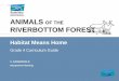 ANIMALS OF THE RIVERBOTTOM FOREST - RiversWest€¦ · ANIMALS OF THE RIVERBOTTOM FOREST ... seeds or nuts. Chipmunks are ... Another sign of a squirrel is a pile of seed or nut shells
