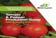Tomato & Pepper Production Guide - Berger€¦ · Tomato & Pepper Production Guide 3 Best Production Practices Germination Time Germination time is influenced by soil temperature