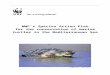 Regional Marine Turtle Action Plan - Pandaassets.panda.org/downloads/medmarineturtleactionplan... · Web vie. A report was produced about marine turtles in the Mediterranean. (WWF/Adena,
