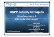3GPP security hot topics - ETSI€¦ ·  · 2010-01-203GPP security hot topics Home base station & IMS media plane security ... Node B security. ... Selective IP Traffic Offload