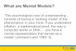 What are Mental Models? - UNSW Canberra · instinctively uses models for decision ... mental image is a model. All decisions are taken on the basis of models.” (Forrester ... Managerial