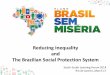 The Brazilian Social Protection System - Presentation · The Brazilian Social Protection System South-South Learning Forum 2014 Rio de Janeiro, March 17 . ... BRASIL CARINHOSO –