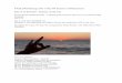 day 8 sunrise - WordPress.com 2017 Day #8 Sunrise (Affirmation) ... {Sunset may applied, ... Microsoft Word - day 8 sunrise .docx