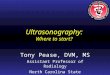 [PPT]Ultrasound Lecture 1 - Nc State Universityradfileshare.cvm.ncsu.edu/TP/VMA960/GenUS/GenUS.ppt · Web viewTitle Ultrasound Lecture 1 Author Tony Pease Last modified by Tony Pease