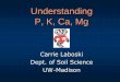 Understanding P, K, Ca, Mg - Soil Science at UW-Madison · (Redrawn from Pierzynski et al., 1994) Soil Solution P HPO 4 2-& H 2 PO 4-Sorbed P Clays Al, Fe Oxides Primary P Minerals