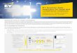 EY forensic data analytics for legal and compliance response · EY forensic data analytics for legal and compliance response Hosted by EY Virtual Analytics Infrastructure (EY Virtual)