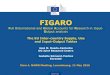 FIGARO Full International and Global Accounts for … · RAS procedure Import use tables ... Export column in import use tables; ... FIGARO Full International and Global Accounts