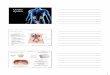 Urinary System - WOU Homepage - Western Oregon …lemastm/Teaching/BI336/Unit 3 - Urinary...2 Urinary System Functional Anatomy - Kidney: Renal hilum • Entrance for blood vessels