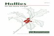 for the Home Garden the Home Garden. H. ollies (Ilex) are a major component of Arkansas landscapes, and deservedly so. ... Bordeaux. TM : Yaupon Holly – 4’ tall x 5’ wide