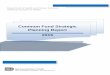 Common Fund Strategic Planning Report Common Fund...landscape through the development of catalytic tools, resources, and ... Common Fund Strategic Planning Report 2015 ) Common Fund