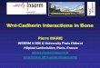 Wnt-Cadherin Interactions in Bone - - Ectsocectsoc.org/wp-content/uploads/2016/03/marie2.pdf · Wnt-Cadherin Interactions in Bone. Pierre MARIE. INSERM U 606 & University Paris Diderot