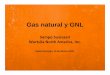 Gas natural y GNL - Welcome to the Institute of the ... Republic...2 x 12V32LN / 1 x 18V32C Domicem, 26 MW 4 x 18V32LN Estrella del Mar, 71 MW 7 x 18V38 Estrella del Norte, 43 MW 5