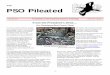 The PSO Pileated - pabirds.org PSO Pileated December 2017 The Newsletter of the Pennsylvania Society for Ornithology Volume 28, Number 4 From the President’s Desk.... It’s …