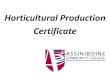 Horticultural Production Certificate - Manitoba · Horticultural Production ... • Horticultural Pest Management ... • Nursery • Parks and Landscape. Horticultural Research •3