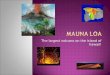 [PPT]Mauna Loa - mrs. BOHAYCHUK's information stationmrsbohaychuk.weebly.com/.../mauna_loa_ashlea_olga.ppt · Web viewThe largest volcano on the island of hawaii! Mauna loa’s summit