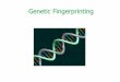 Genetic Fingerprinting - University of Manitobahome.cc.umanitoba.ca/~perreau/Chem4590_2017/April 17 2017 DNA...DNA fingerprinting In the R & D sector: -involved mostly in helping to