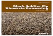 Black Soldier Fly Biowaste Processing - A Step-by-Step … · Black Soldier Fly Biowaste Processing - A Step-by-Step Guide ... Fishmeal: Fishmeal is a ... Hammer mill: Crushes and