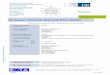 European Technical Approval ETA-10/0362 - GLASSOLUTIONS AUSTRIA€¦ ·  · 2016-04-08version corresponds fully to the version circulated within EOTA. Translations into other 