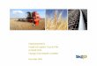 Strategic Grain Network Report - Freight and Logistics …freightandlogisticscouncil.wa.gov.au/documents/report… ·  · 2011-09-22Report prepared for Freight and Logistics Council