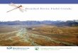 Braided river field guide - Department of Conservation by Barry Hibbert and Kerry Brown Braided River Field Guide Plant illustrations from Wild Plants of Mount Cook National Park by