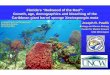 Florida’s “Redwood of the Reef”: Growth, age, … giant barrel sponge Xestospongia muta ... Nagelkerken, Aerts & Pors 2000. Reef Encounter 28: 14-15 ... NOAA’s Coral Reef Conservation
