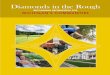 Diamonds in the Rough - Michigan these brownfield sites provides an opportunity to improve neighborhoods and diversify local ... project, visit: ... Diamonds in the Rough 