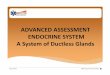 ADVANCED ASSESSMENT ENDOCRINE SYSTEM A … OBHG Endocrine_2014.pdf · ADVANCED ASSESSMENT ENDOCRINE SYSTEM A System of Ductless Glands. ... ADVANCED ASSESSMENT ENDOCRINE SYSTEM 