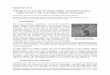 Black-tailed Jackrabbit (Lepus californicus) · Appendix A.3 Washington Connected Landscapes Project: Analysis of the Columbia Plateau Ecoregion A.3-1 Appendix A.3 Habitat Connectivity