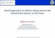 Novel approach to deliver drugs across the blood-brain ... boer.pdf · Proteins killing tumour cells, Lorentz Workshop, Leiden - 2007 Novel approach to deliver drugs across the blood-brain