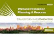 Wetland Protection Planning and Process - City of … Services of Urban Wetlands REGULATING SERVICES Storage of water Climate regulation Groundwater recharge Erosion control Flood