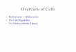 Overview of Cells - Kristin Majda, M.S., M.B.A. - … of Cells • Prokaryotes vs Eukaryotes • The Cell Organelles • The Endosymbiotic Theory • Archaea ... Cell Walls • Tough,