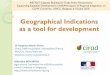 Geographical Indications as a tool for development Indications as a tool for development Dr Delphine Marie-Vivien Cirad, UMR Innovation, Montpellier/France, MALICA, Hanoi/Vietnam delphine.marie-vivien@cirad.fr