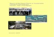 Cover for Expert Panel Report - Our Harbour Front Panel on Sustainable Transport Planning and Central-Wan Chai Bypass Page ii Foreword Transport and land use decisions in Hong Kong