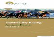 Hawke’s Bay Racing Annual Report€™S BAY RACING INCORPORATED Notice is hereby given that the Annual General Meeting of Hawke’s Bay Racing Incorporated will be held in the Special