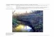 LEWIS CREEK GABION REACH BANK STABILIZATION · Proposed Action: Train the thalweg away from the gabion wall by excavating a narrower radius bend in the channel, creating a weir/pool