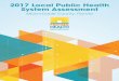 2017 Local Public Health System Assessment€¦ ·  · 2017-12-292017 Local Public Health System Assessment Miami-Dade County, ... Community Health Problems ... Essential Service