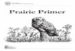 Prairie Primer activity book - MatID 744 - Illinois DNR will need to record their answers to the questions and activities on a separate sheet of paper or ... prairie vole ... It was