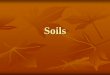 Soils - rocogeog.files.wordpress.com · What is soil made from? 1. Mineral Matter –This is the biggest ingredient ... decaying organic ... Soils Explain why soil is important