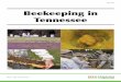 Beekeeping in Tennessee - University of Tennessee Beekeeping in Tennessee Authors: John A. Skinner Professor and UT Extension Apiculture Specialist The University of Tennessee Michael