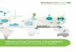 Measuring Country Intangibles - RobecoSAM · RobecoSAM’s country sustainability framework evaluates 60 ... financial and political country risk analysis ... RobecoSAM, Robeco, Bloomberg