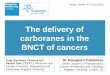 The delivery of carboranes in the BNCT of cancers ·  · 2017-05-05The delivery of carboranes in the BNCT of cancers Patras, Greece, ... such as the BBB. Requirements *Calabrese